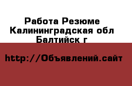 Работа Резюме. Калининградская обл.,Балтийск г.